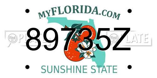 89735Z Florida License Plate