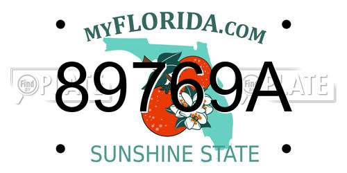 89769A Florida License Plate