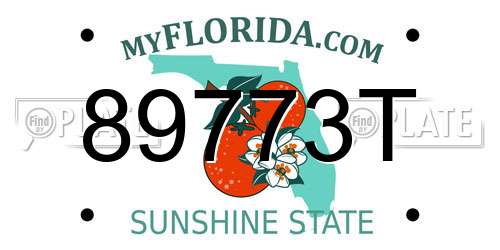 89773T Florida License Plate