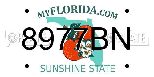 8977BN Florida License Plate