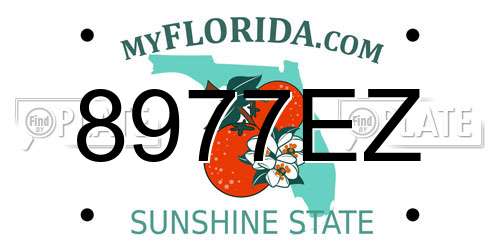 8977EZ Florida License Plate