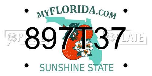 897T37 Florida License Plate
