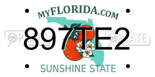 897TE2 Florida License Plate