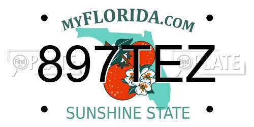 897TEZ Florida License Plate