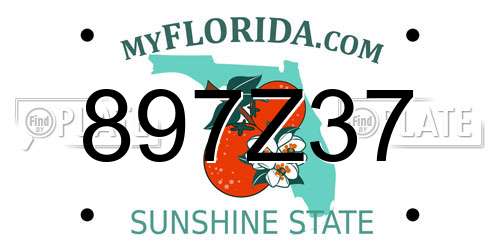 897Z37 Florida License Plate