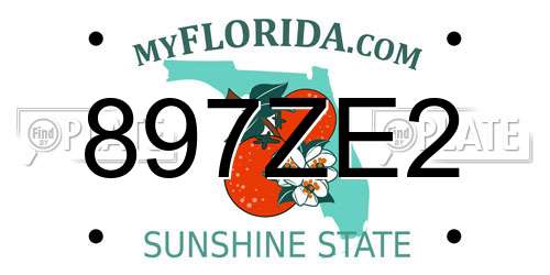 897ZE2 Florida License Plate