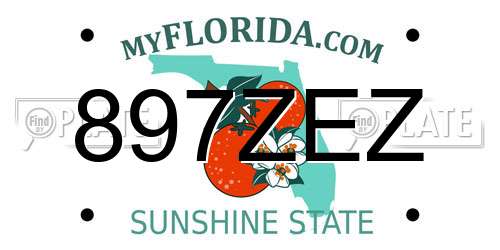 897ZEZ Florida License Plate