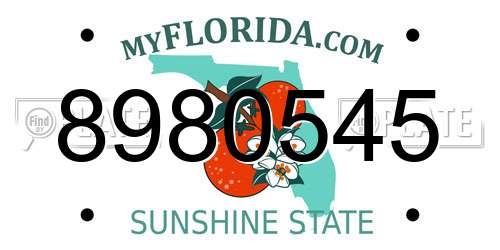 8980545 Florida License Plate