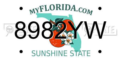 8982YW Florida License Plate