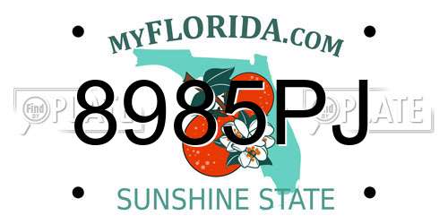 8985PJ Florida License Plate