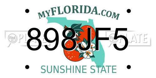 898JF5 Florida License Plate