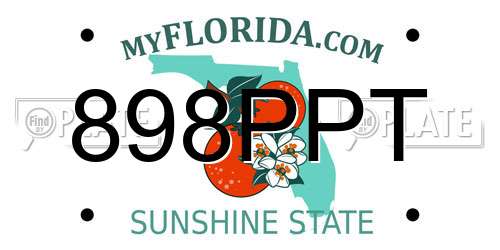 898PPT Florida License Plate