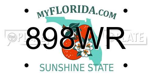 898WR Florida License Plate
