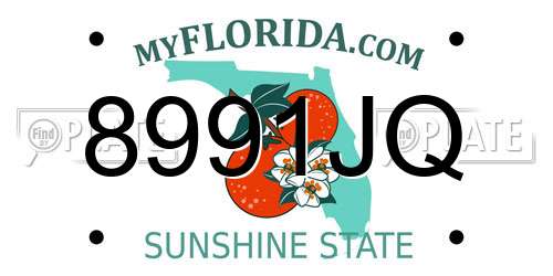 8991JQ Florida License Plate