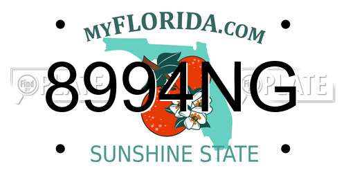 8994NG Florida License Plate