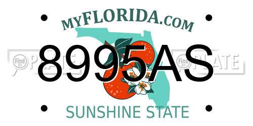 8995AS Florida License Plate