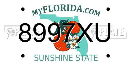 8997XU Florida License Plate