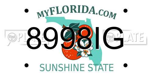 8998IG Florida License Plate