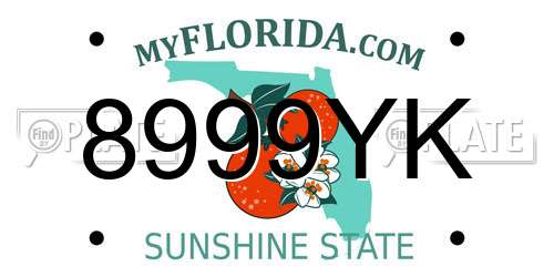 8999YK Florida License Plate