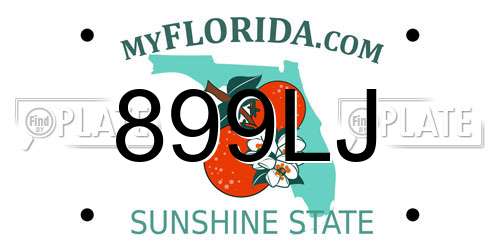 899LJ Florida License Plate