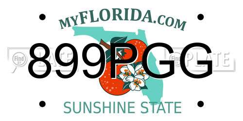 899PGG Florida License Plate