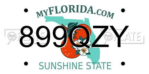 899QZY Florida License Plate