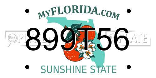 899T56 Florida License Plate