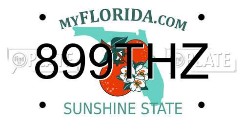 899THZ Florida License Plate