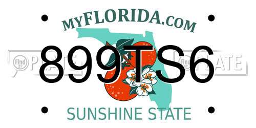 899TS6 Florida License Plate