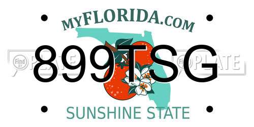 899TSG Florida License Plate