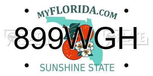 899WGH Florida License Plate