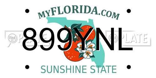 899YNL Florida License Plate