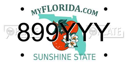 899YYY Florida License Plate
