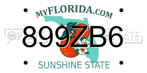 899ZB6 Florida License Plate