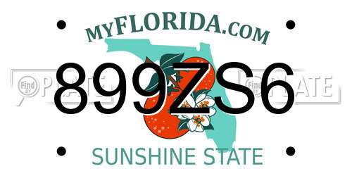 899ZS6 Florida License Plate