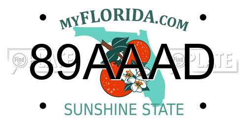 89AAAD Florida License Plate