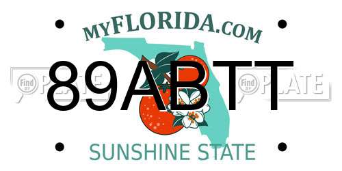 89ABTT Florida License Plate