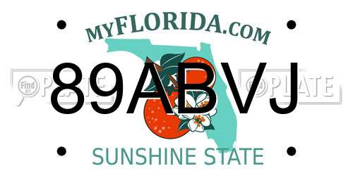 89ABVJ Florida License Plate