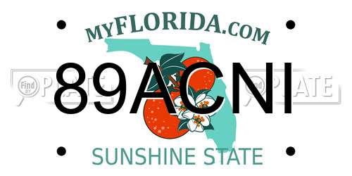 89ACNI Florida License Plate