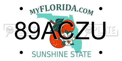 89ACZU Florida License Plate