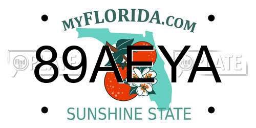 89AEYA Florida License Plate