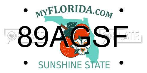 89AGSF Florida License Plate