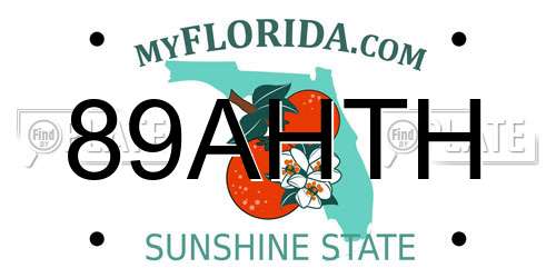 89AHTH Florida License Plate