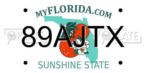 89AJTX Florida License Plate
