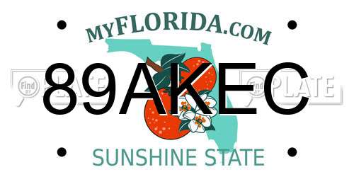 89AKEC Florida License Plate