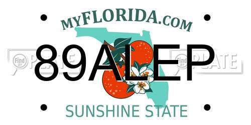 89ALEP Florida License Plate