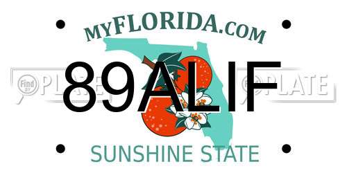 89ALIF Florida License Plate
