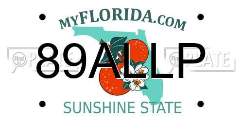 89ALLP Florida License Plate
