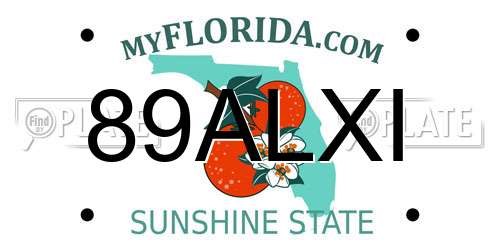 89ALXI Florida License Plate