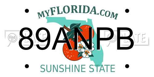 89ANPB Florida License Plate